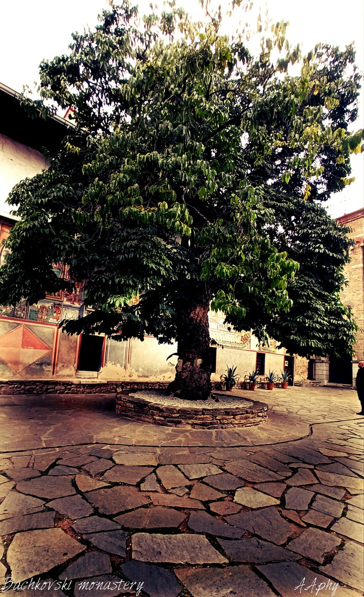 monastery