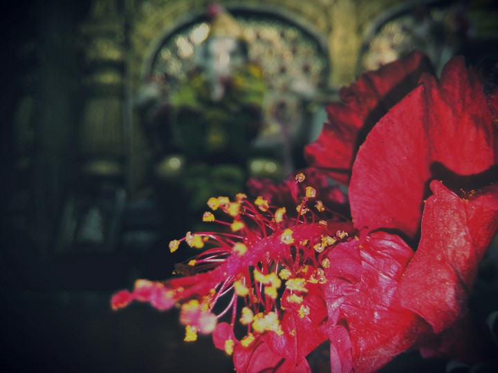 ganpati bappa