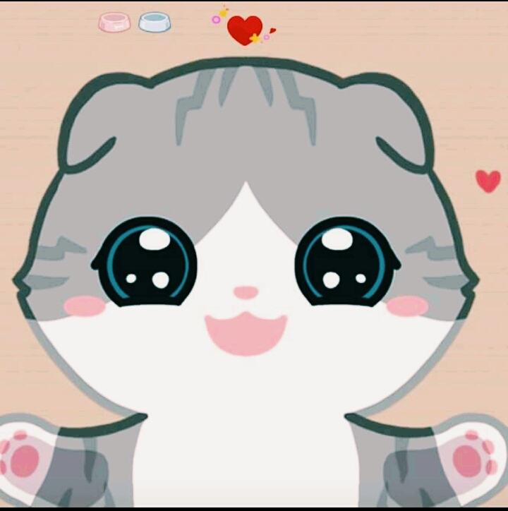 baby cat