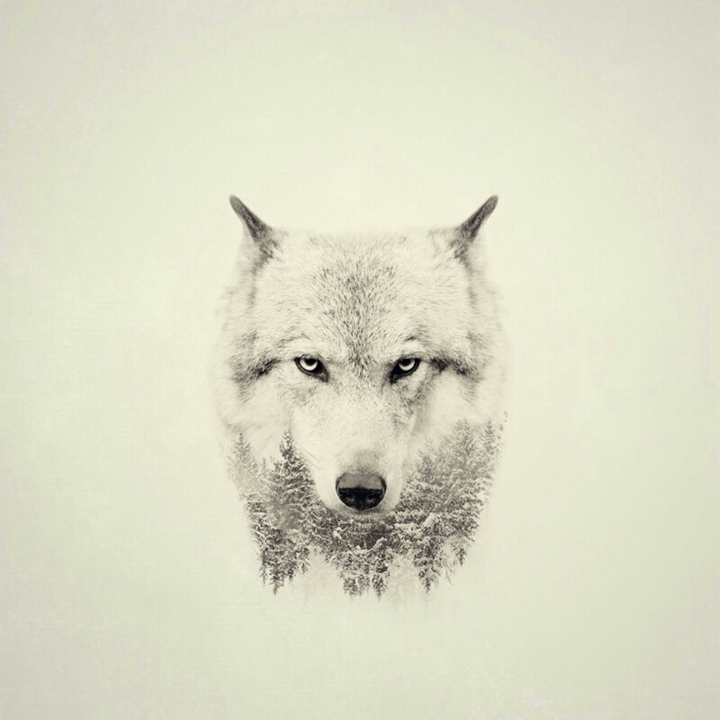 Alpha