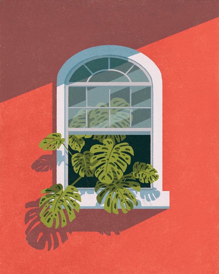 Window