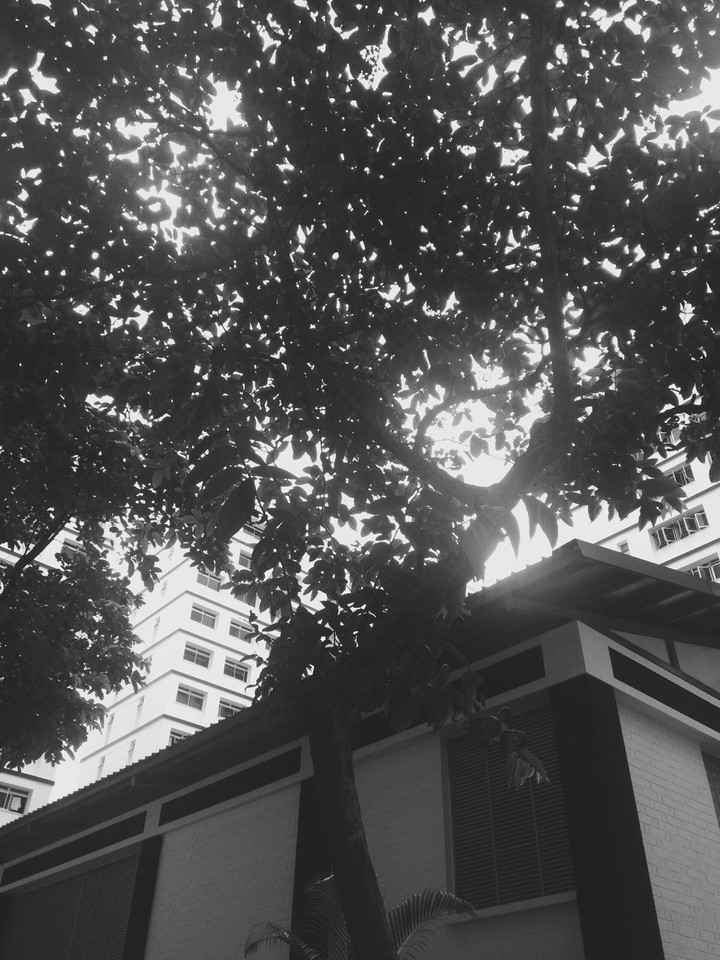 turning back time to black n white