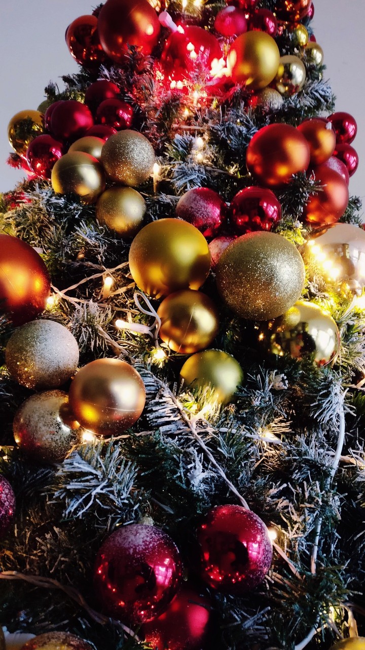 today is CHRISTMAS DAY!