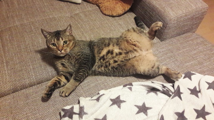Sammy ^^