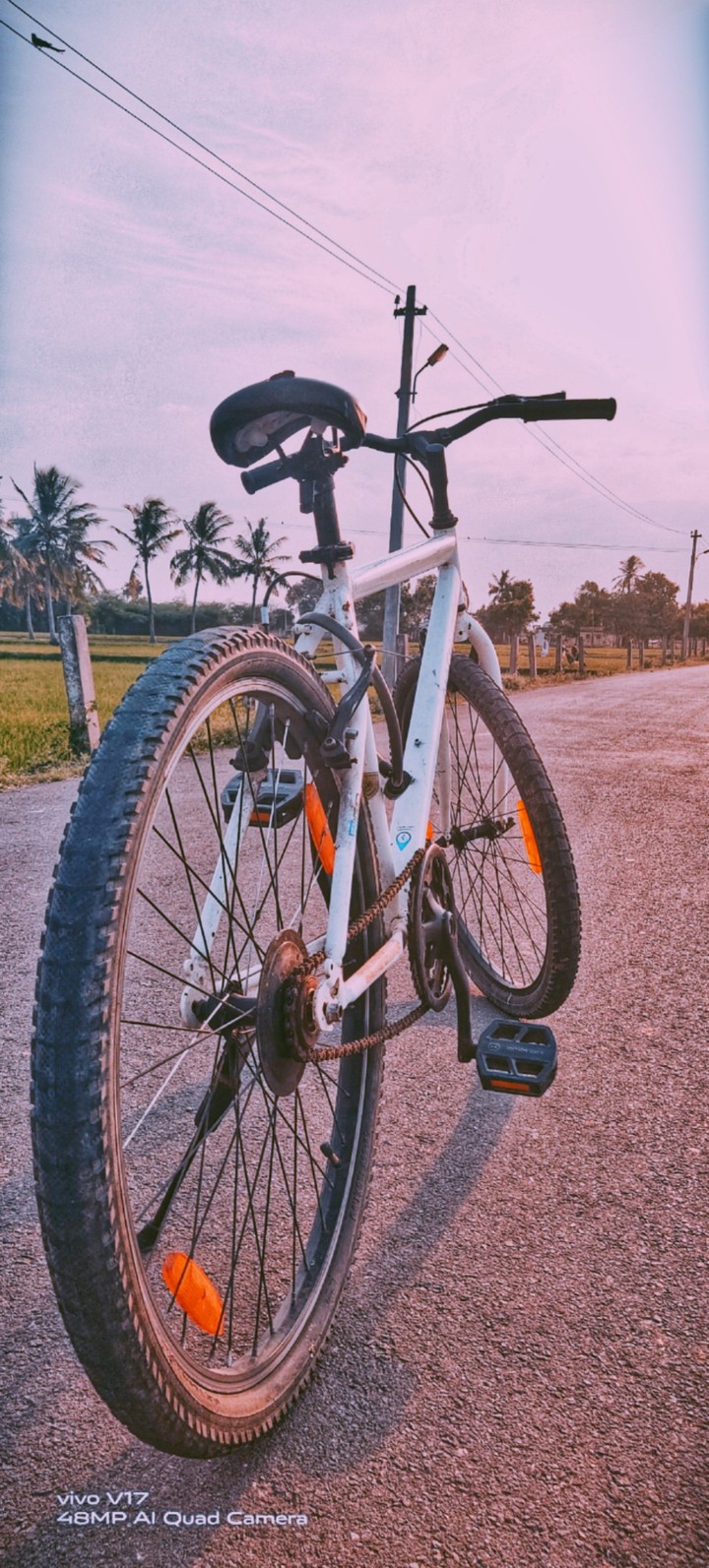cycle