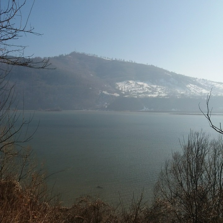 Pure Nature