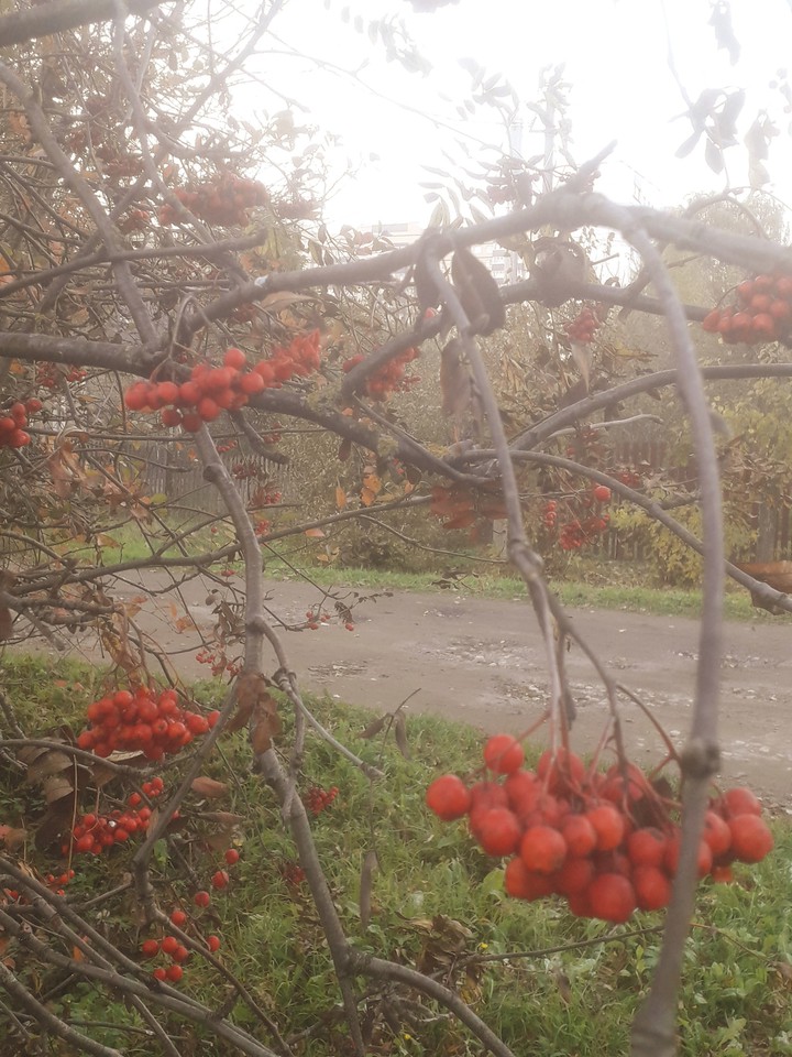 october