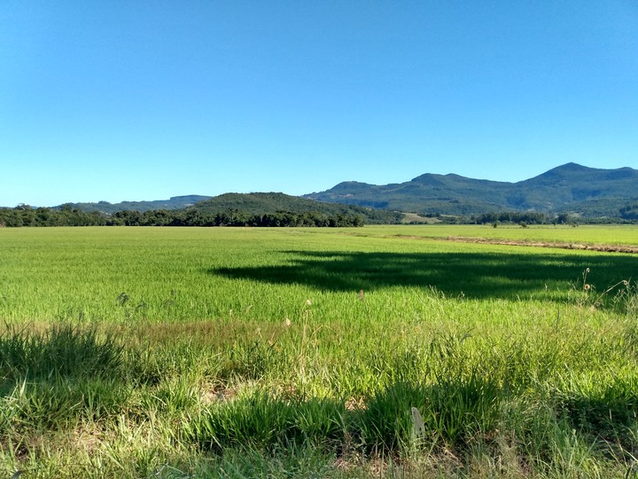 Paisagem do interior