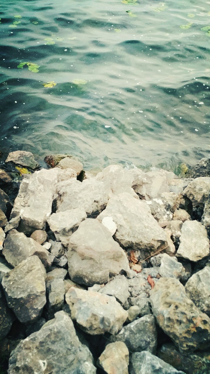 Water