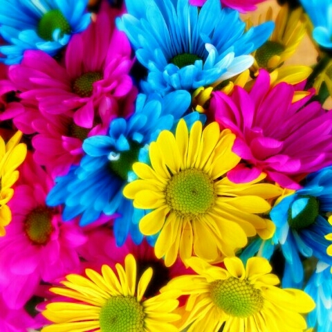 flowers