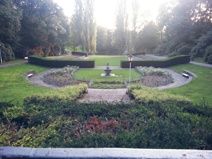 The garden