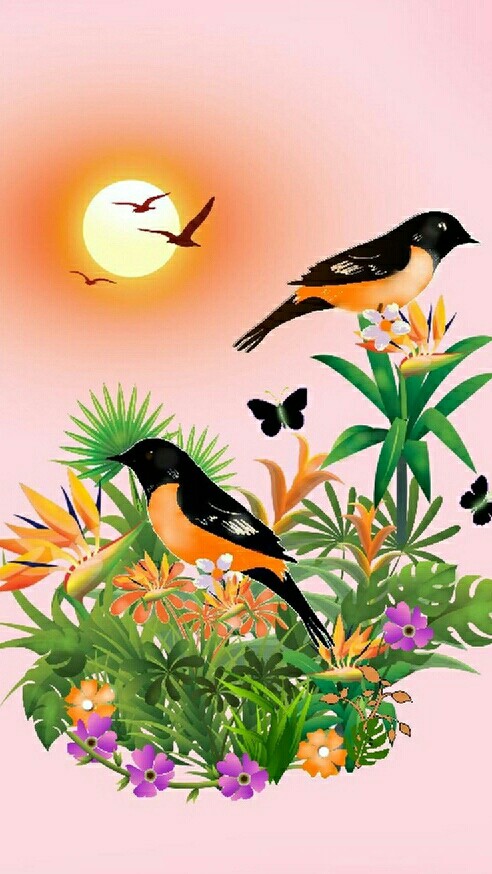Oiseaux au soleil levant  !!!!