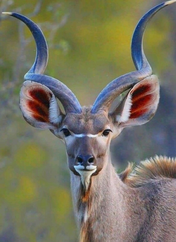 beautiful pic