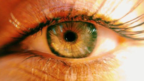 Eye