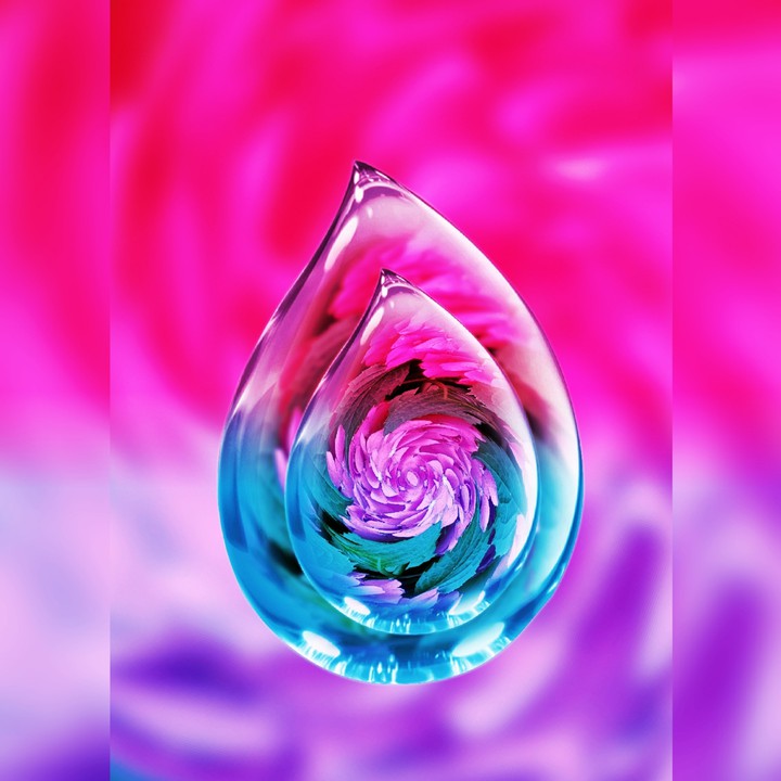 Colors