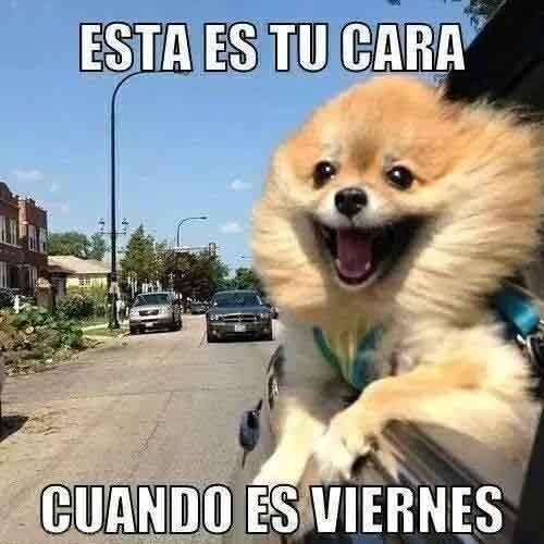 jajaja