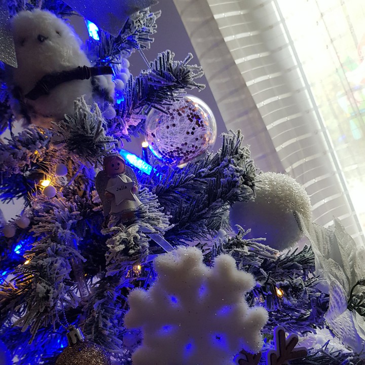 noel