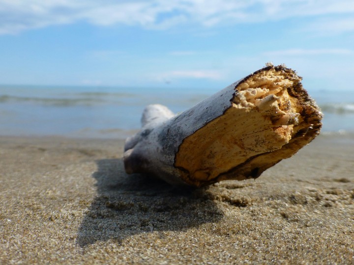Beach day