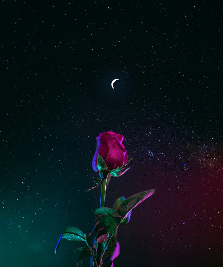 FW