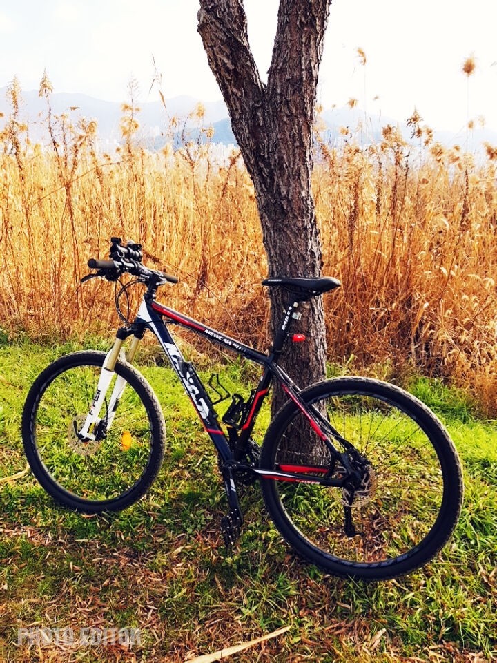 my MTB bike