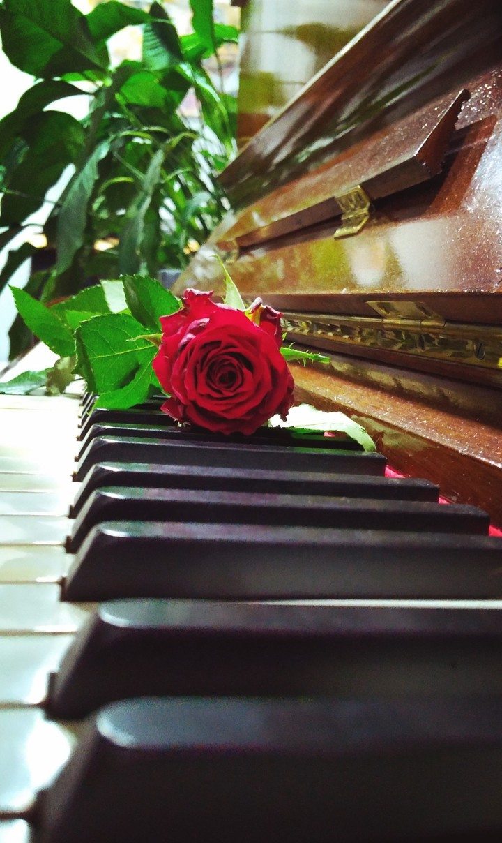 Love&Music