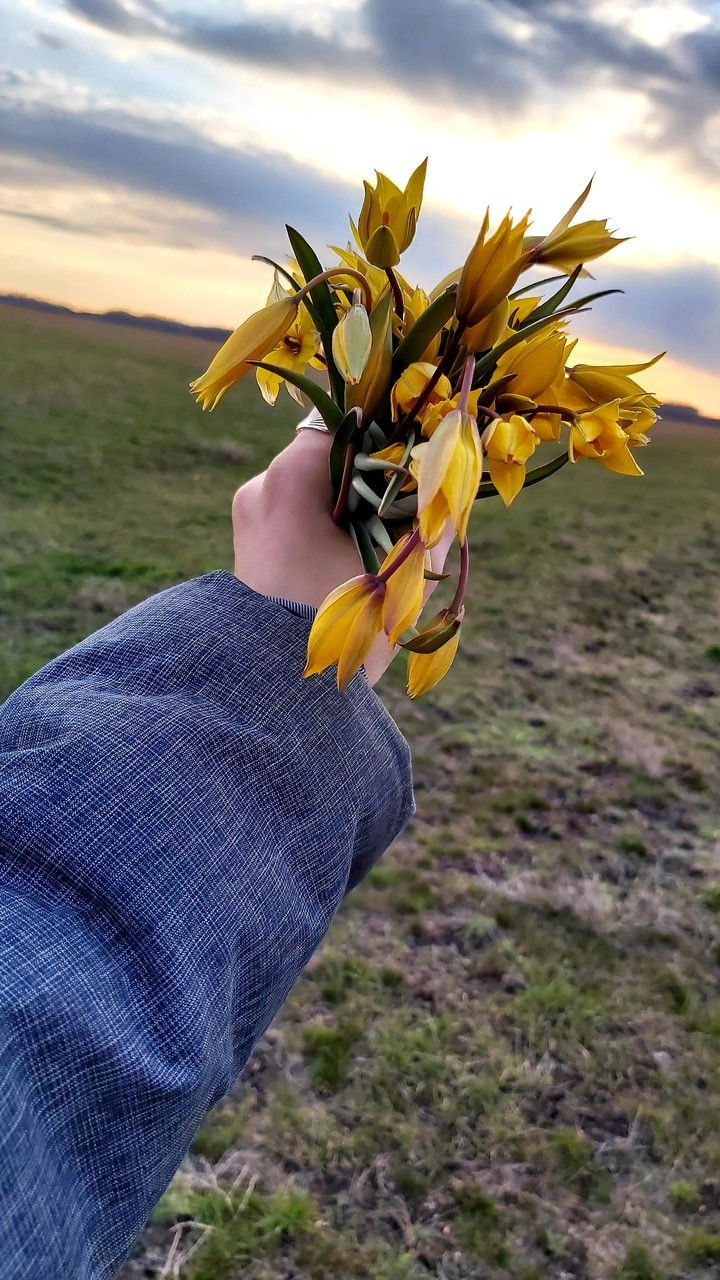 Flowerinhand
