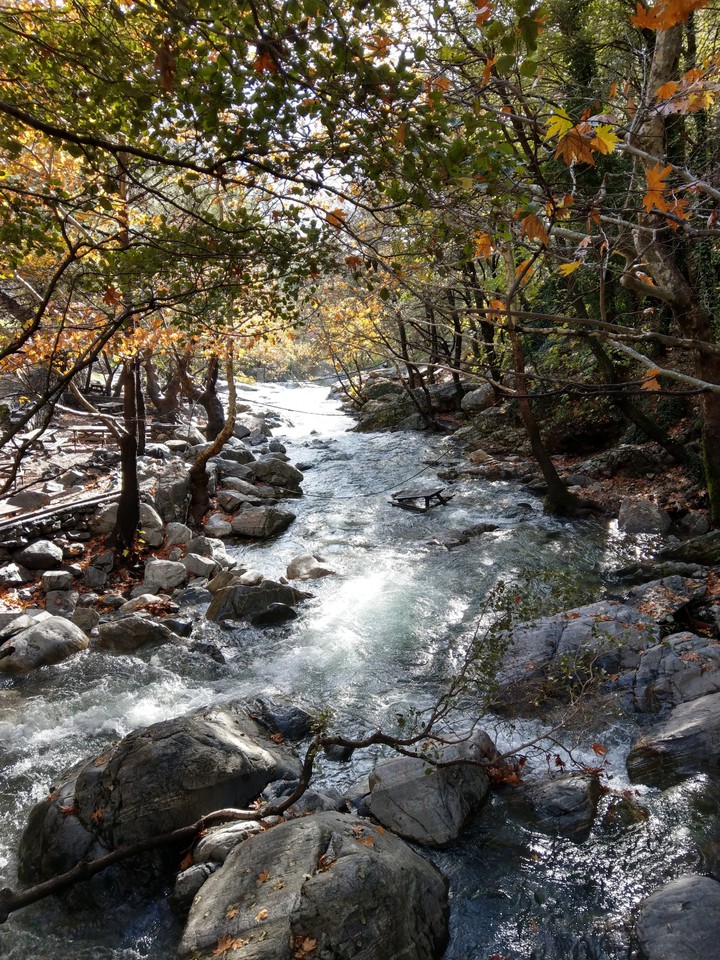 kaz dağları
