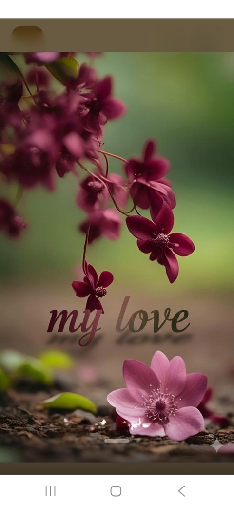 love, wildflower Hintergrundbilder
