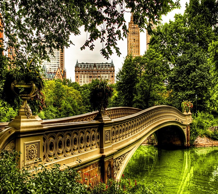 NY