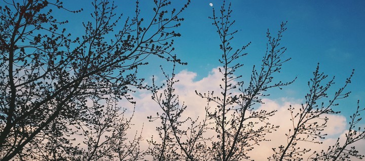 Spring