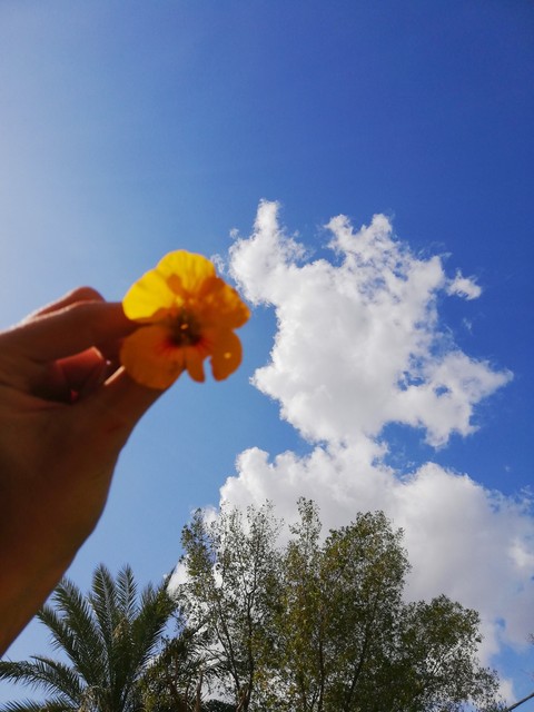 sky