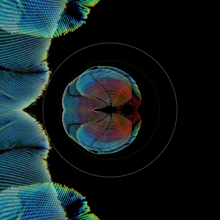 Brain? Scan