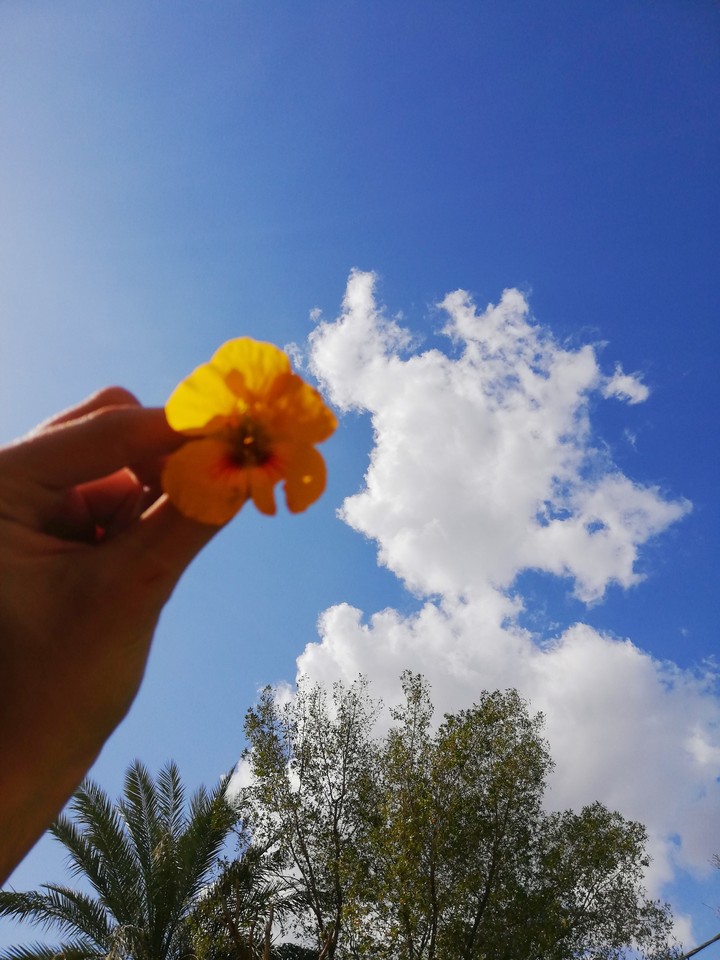 sky