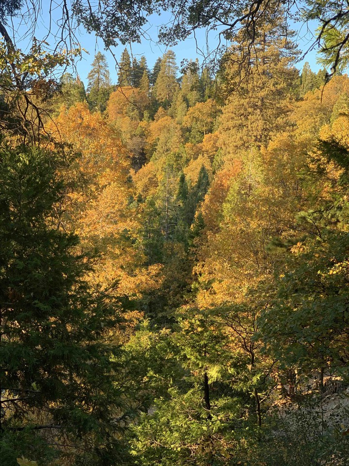 Autumn