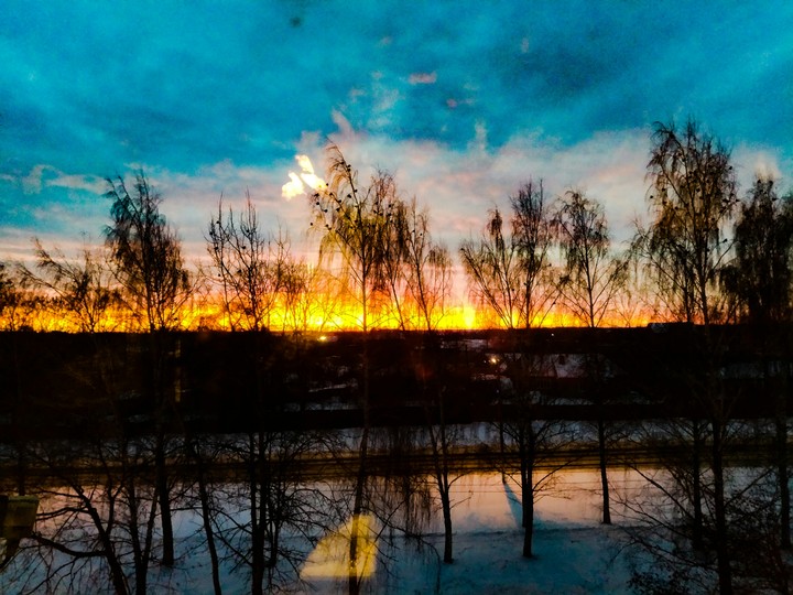 morning in my window