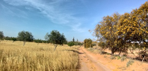 Road