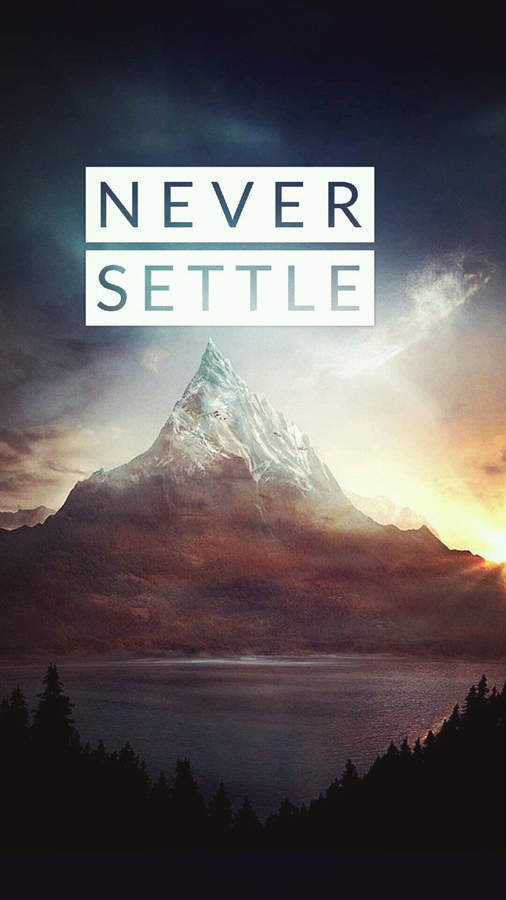 never settle