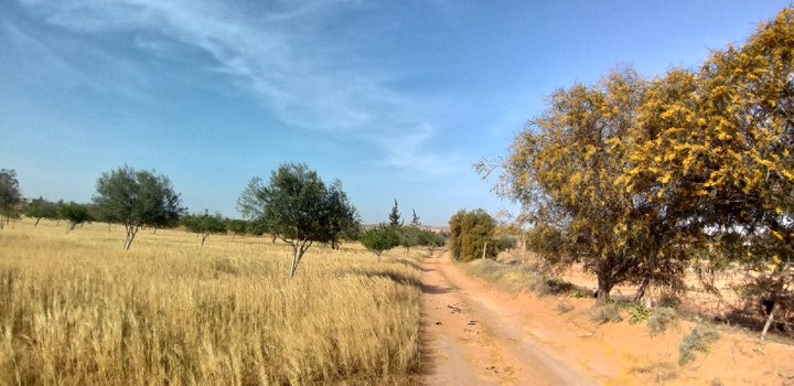 Road