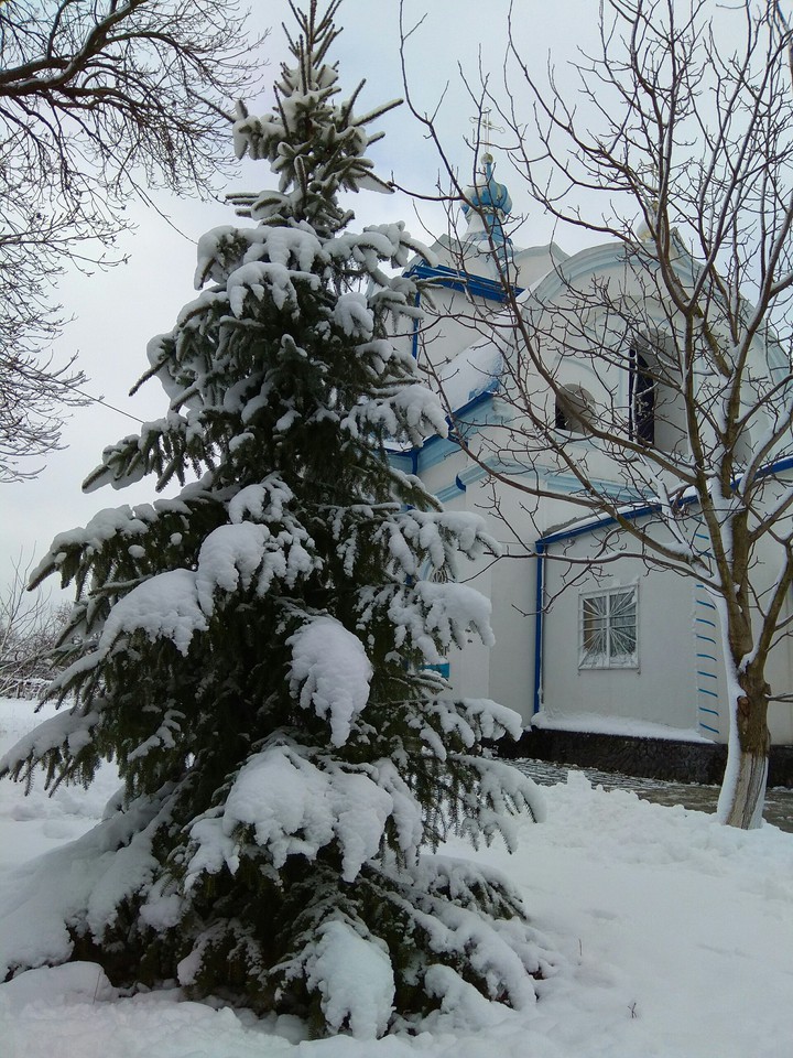 Winter - 2019