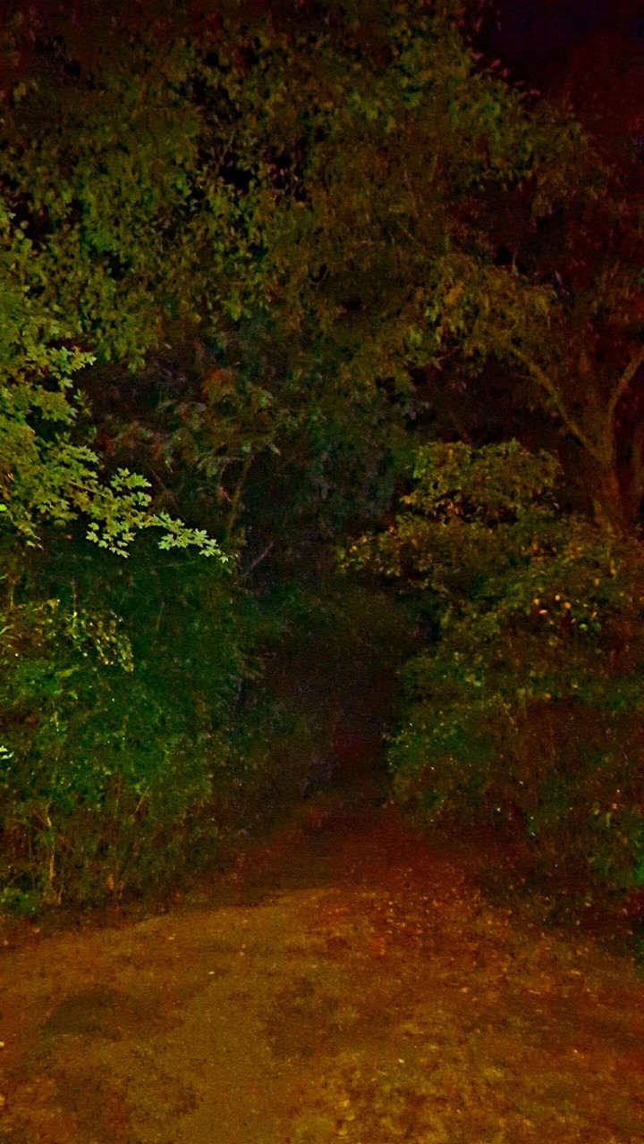 dark end of the day