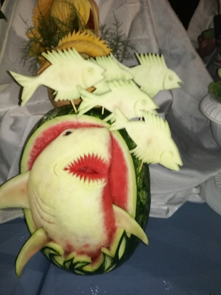 Shark