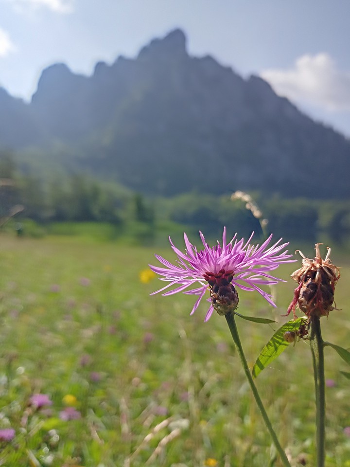 Austria