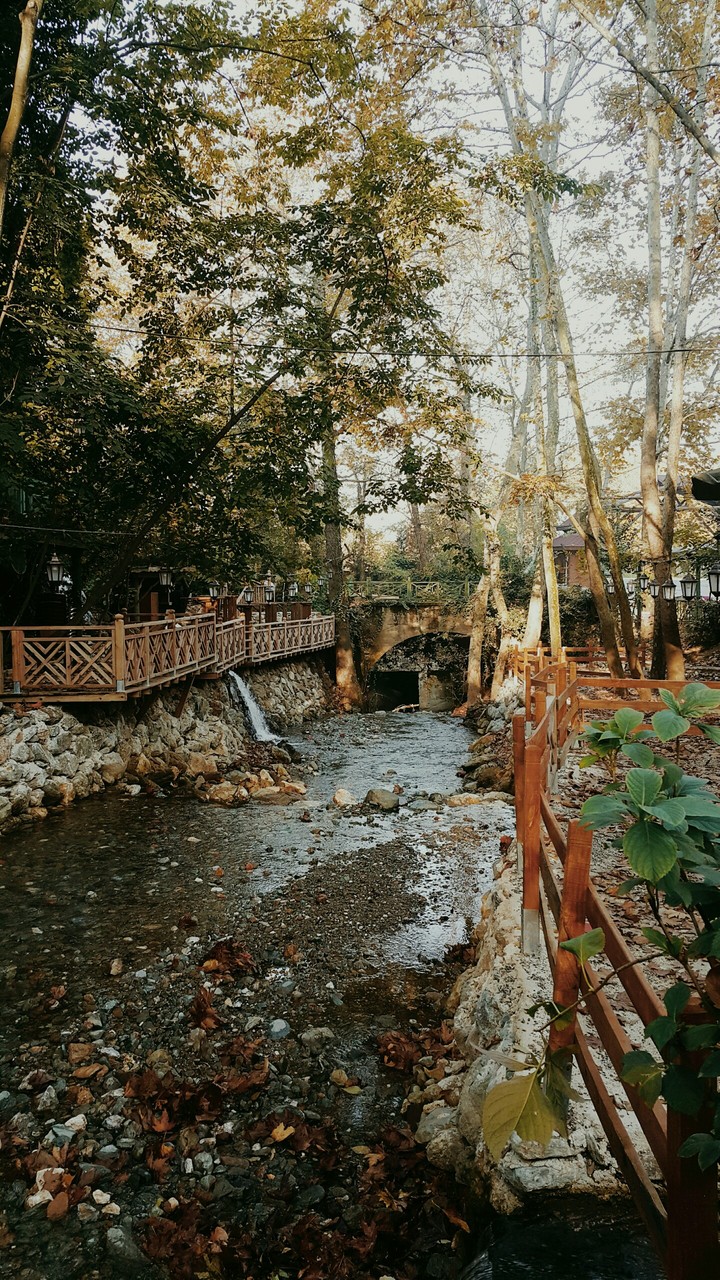 gizli bahçe
