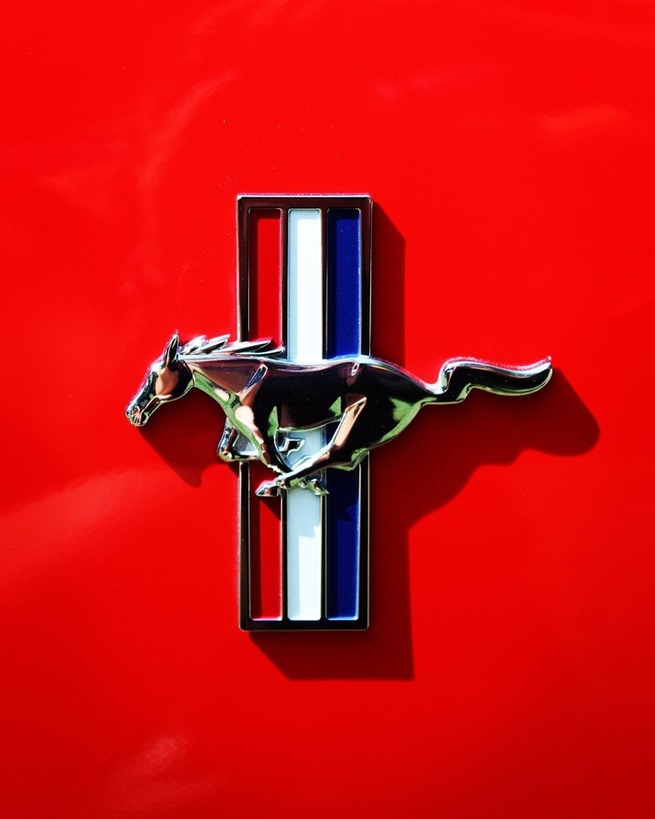 Mustang