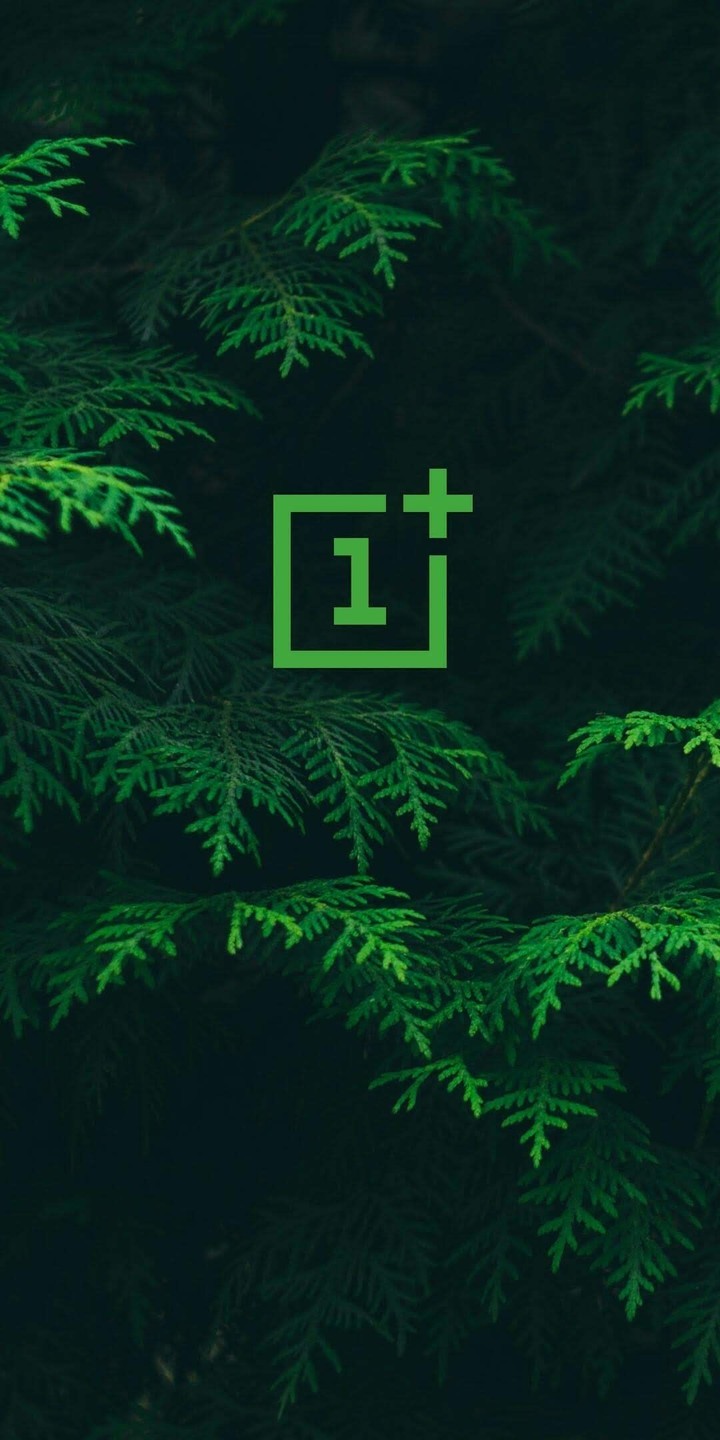 1+