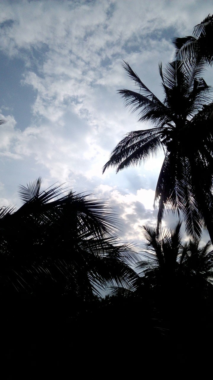 Clouds