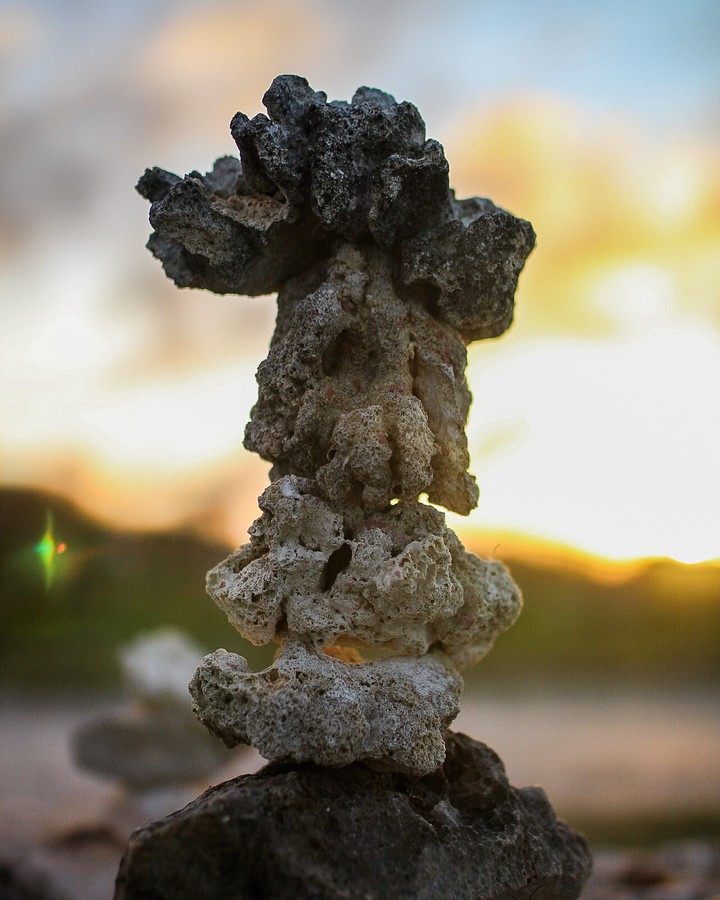 coral stone