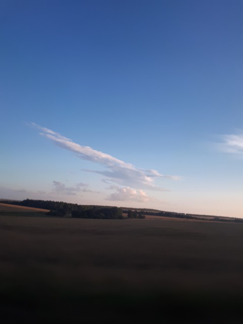 nature