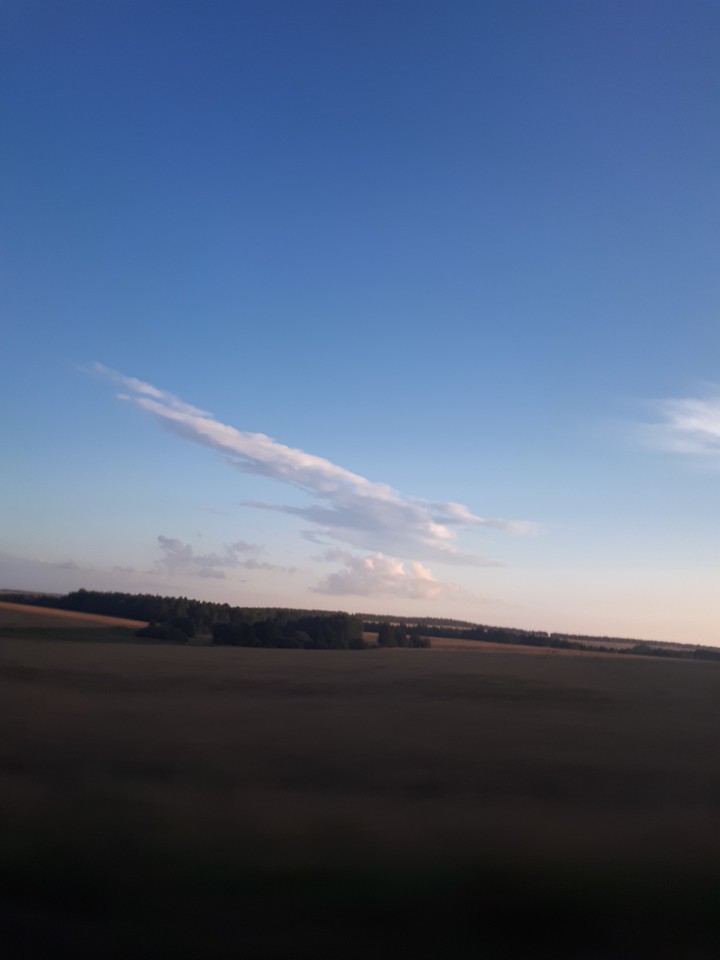 nature