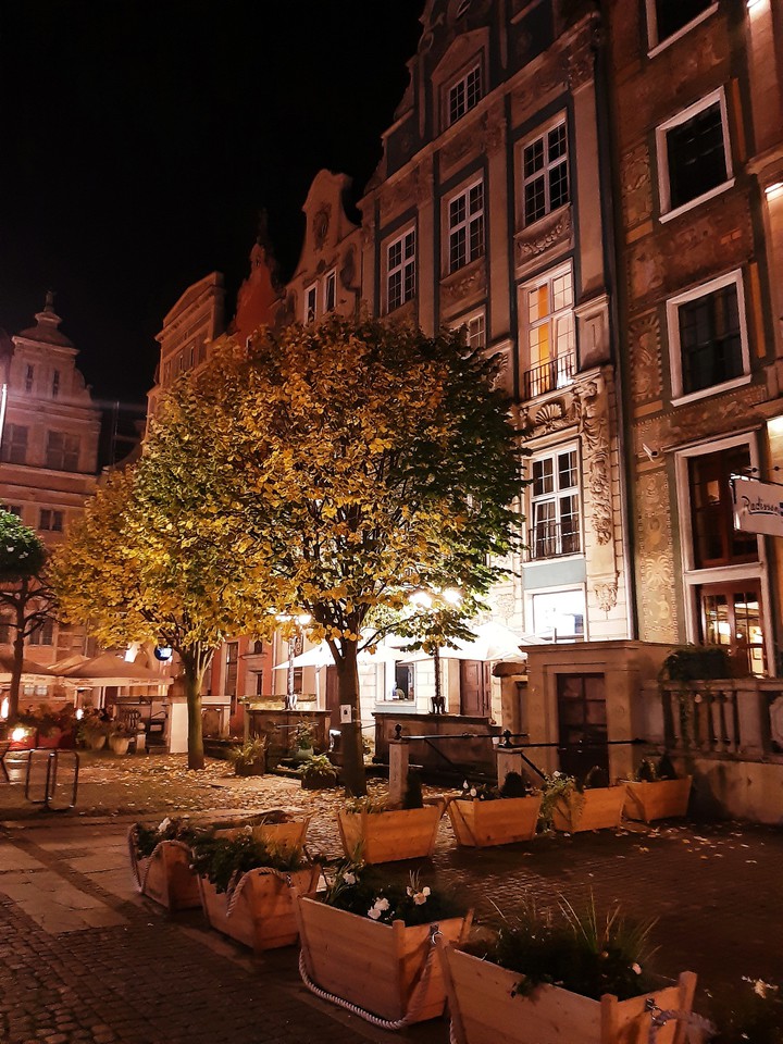 Beautiful autumn
